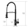 New Single Handle Pull-Down Sprayer Kitchen Faucet