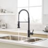 New Single Handle Pull-Down Sprayer Kitchen Faucet
