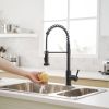 New Single Handle Pull-Down Sprayer Kitchen Faucet