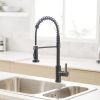 New Single Handle Pull-Down Sprayer Kitchen Faucet