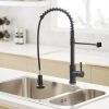 New Single Handle Pull-Down Sprayer Kitchen Faucet